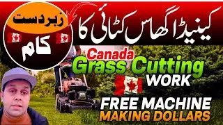 Lawn mower Work in Canada | Grass Cutting Machine |Canada Grass Work