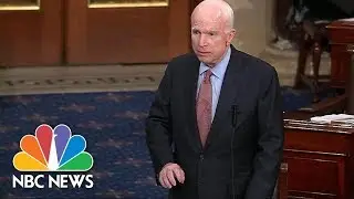 Senators Mitch McConnell, John McCain, And More Say Senator Jeff Flake Will Be Missed | NBC News