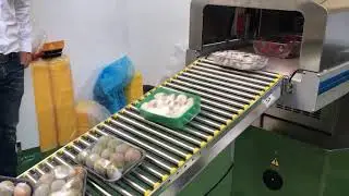 Waldyssa 75 piu envasado variedad fruta