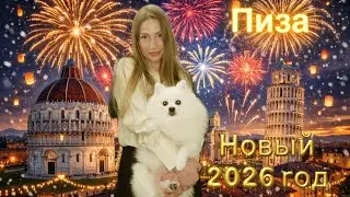 Пиза. Встречаем новый год 2026.
