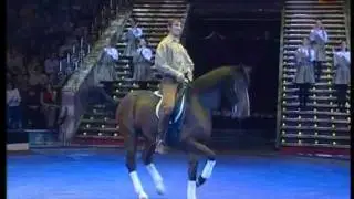 Highest expression of horse training