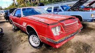 This Mopar was actually solid by Florida Rust standards. 1981 Dodge Mirada Junkyard Find