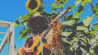 Let the Sun In