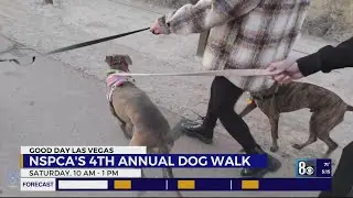 Nevada SPCA's 4th annual Neon Dog Walk to fundraise programs
