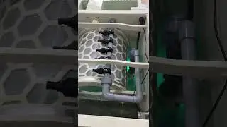 B3C in testing, combi drum filter system for koi fish#koi #koifishpond