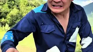 收核桃要防范马蜂#我的乡村生活