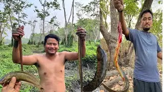 Best Eel fish hunting in Nepal || with hook 🪝 #nature #eelcatch