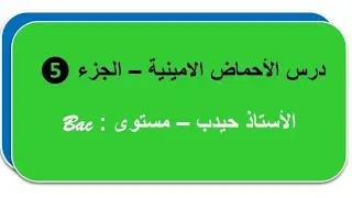 دروس الأحماض الأمينية الجزء الأخير ( 05) - البيبتيدات والبروتينات / الاستاذ حيدب فارس