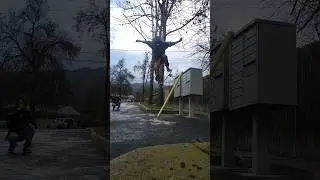 &iexcl;!Stallie!&iexcl; #skateboarding #shorts #polejam