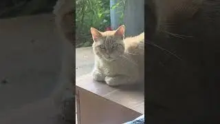 The Supervisor Is On The Job