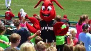 Hickory Crawdads Have A Great Summer Prepared For You!