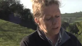 Llyngyr Iau Cyswllt Ffermio