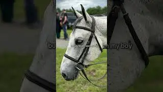 My pretty baby!!🫶💕 #horse #equestrianworld #horses #equestriangirl