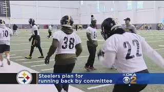 Steelers to employ running back by committee