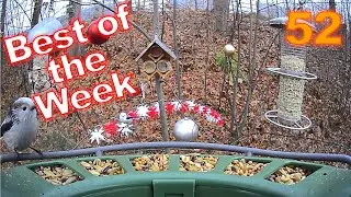 Best of the Week 52