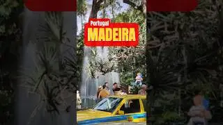 Мадейра - рейс в РАЙ!