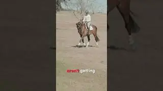 Let&rsquo;s keep our horses in top shape and injury-free 🏋️&zwj;♀️ #equestrian #horsetraining