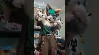 Интересный факт: то, что я фурри, никак не повлияет на вашу жизнь!!! #fursuit #dhmis #furry