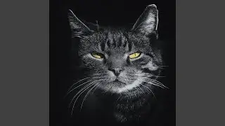 Classic 40s Bebop Jazz for Cool Cats