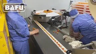 soft candy wrapping machine, candy packaging machine, automatic packaging machine, mini flow wrapper
