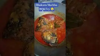 Bhakura Machha ambula fry😱.#trending #shorts #shortvideo #youtubeshorts #foryou