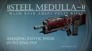 Destiny - Steel Medulla Adept - Wrath Raid Pulse - 1v1 & PVP Gameplay