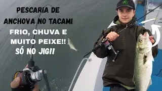 PESCARIA DE ANCHOVA NO JIG - TACAMI (COM BETO PESCA) 2018