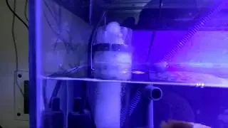 My Boyu wg 308 nano reef tank protein skimmer 25 gallon trial run and skimming perfectly