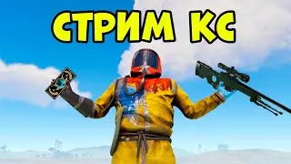 Контрстрике на глобалах с Мелом, потом раст
