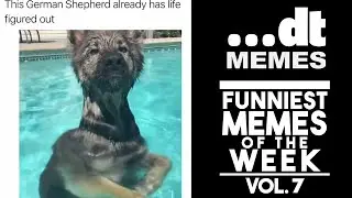 Memes Vol. 6 | Doing Things Memes