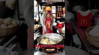 Monkey makes burger, fries & nuggets like a pro 🐒🍔🔥  #food