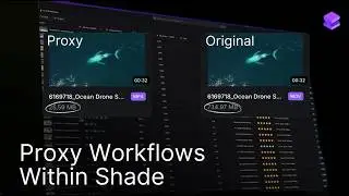 Shade Tutorial - Proxy Workflows in Shade