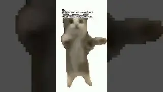 Шни шна шнапи шнапи шнапи шнапи 