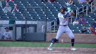 Hendry Mendez, Minnesota Twins OF Prospect
