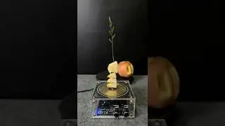 Tesla coil + Apple + Grass