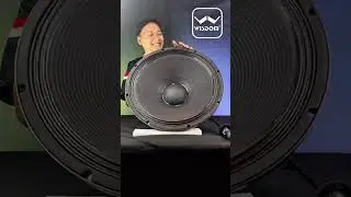Speaker D18C by WISDOM #speaker #ferrite #soundsystem #wisdom #viralvideo #viralreels #horeg