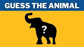Guess the Animals Silhouette | Can you Recognize animals by their silhouette &ndash; Animal Quiz..! 🐶 🐎