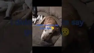 please watch 2