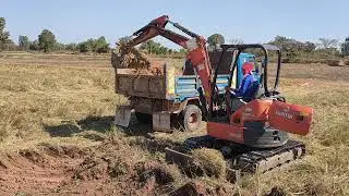 ตัวเล็กแต่ใจใหญ่ KUBOTA U35 น้ำหนัก3.5ตัน ลุยงานลอกนา จัดเต็มอุ้ม excavator and truck