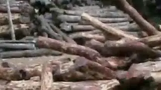 Red Woodsandal Mafia