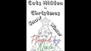 Hidden Cats in Christmas, Snow & Winter