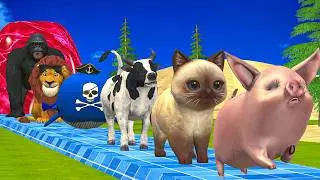 Long Slide Game With Elephant Gorilla Buffalo Hippopotamus Tiger 3d Animal Game Funny 3d Animals
