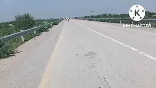 silab  zadgan and video