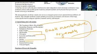 Prokaryotic vs Eukaryotic: The Cell Battle