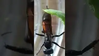20170815 170117