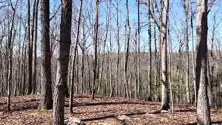 View From Top of Hill Close to Jumping Off Rock Trailhead