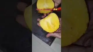 #VIRAL FRUIT #GERMAN # unique fruits #healthy#viralvedio #viral shorts #shorts #persimmon #kaki...