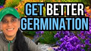 Tricking Seeds To Get Them To Germinate (Lavender, Delphinium, Rosemary) 🌱🧊✨