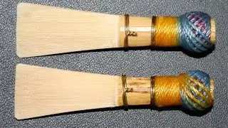 Testing new bassoon reeds made from Lavoro cane