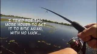 Urban Bass Slayers fishing